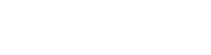 VSS Nederland